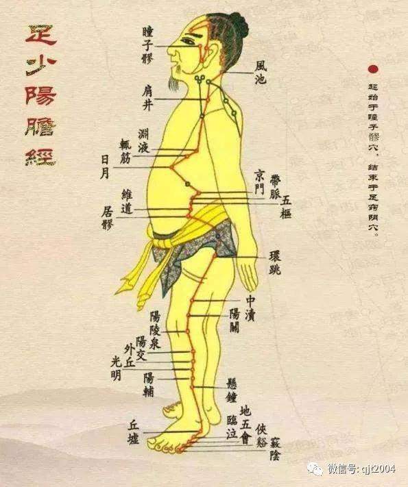 全净通分享胆经拔罐养肝护肝的好处和方法