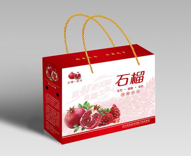 中式特色水果包装设计(图18)