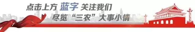 三农厨房 | 月饼为啥要用塑料托盒包装?(图1) 三农厨房 | 月饼为啥要用塑料托盒包装?(图1)