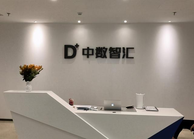 中数智汇遭上市委