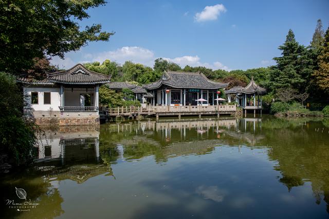 【无锡】百年梅园，无锡人对其有着深厚的情感，万株百合花丛中笑