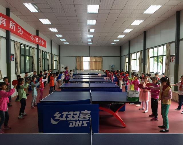 南湖小学：体教并重育人为先，开拓教育与体育融合共赢的未来