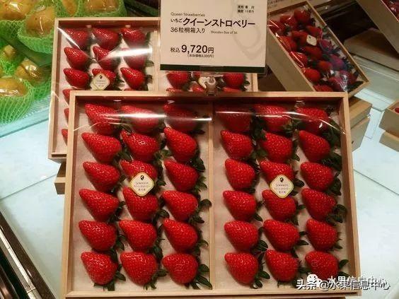草莓包装大合集，这样的草莓吃不起(图32)