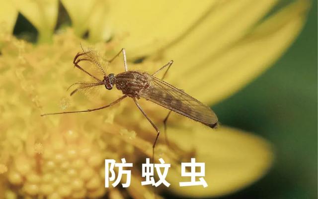 你知道吗？不注意，下肢静脉曲张会在夏季加重！(图2)