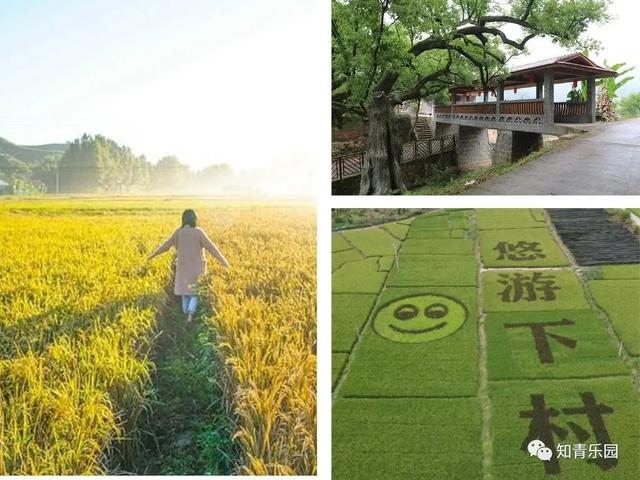 庆双节·10月3日尤溪县第二期知青文化主题旅游日(图16)