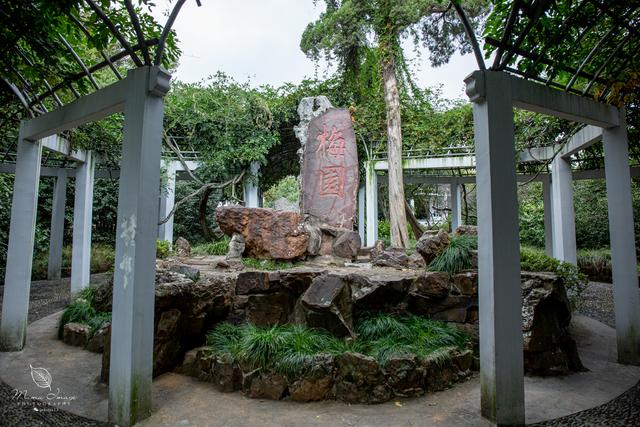 【无锡】百年梅园，无锡人对其有着深厚的情感，万株百合花丛中笑