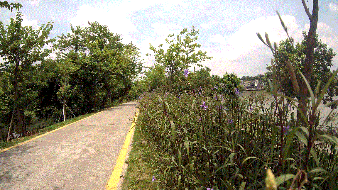 第一人称看世界-SJCAM SJ10 PRO