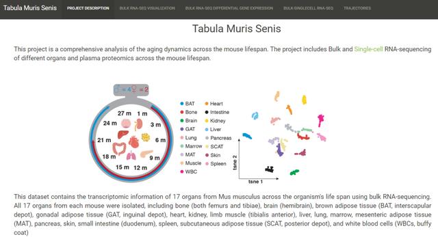 欧易生物,基因芯片,生物芯片,基因测序,高通量测序,二代测序,三代测序,酵母文库,生物信息学,转录组,基因组,蛋白质组,甲基化,代谢组学,蛋白检测单细胞测序,核体系酵母文库构建,基因组de novo测序,蛋白质组定量分析,靶向代谢组学, 2b-RAD简化基因组 ,微生物多样性测序