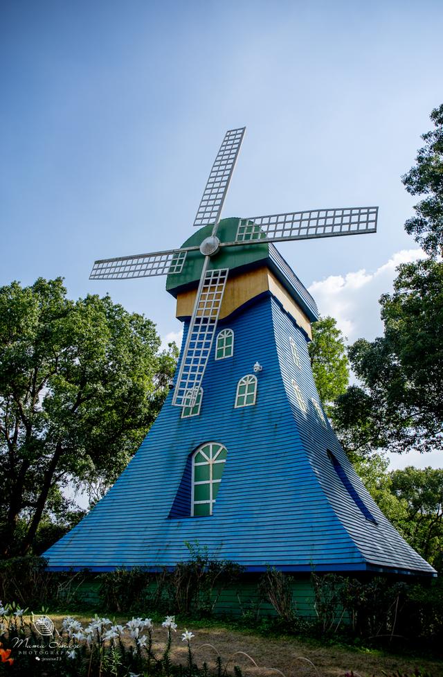 【无锡】百年梅园，无锡人对其有着深厚的情感，万株百合花丛中笑