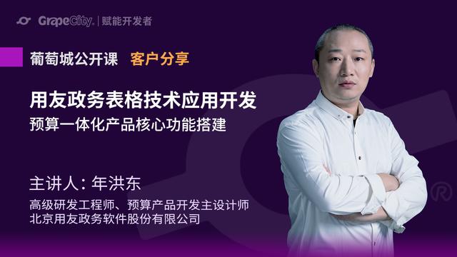 用友政务表格技术应用开发实践：预算一体化产品核心功能搭建