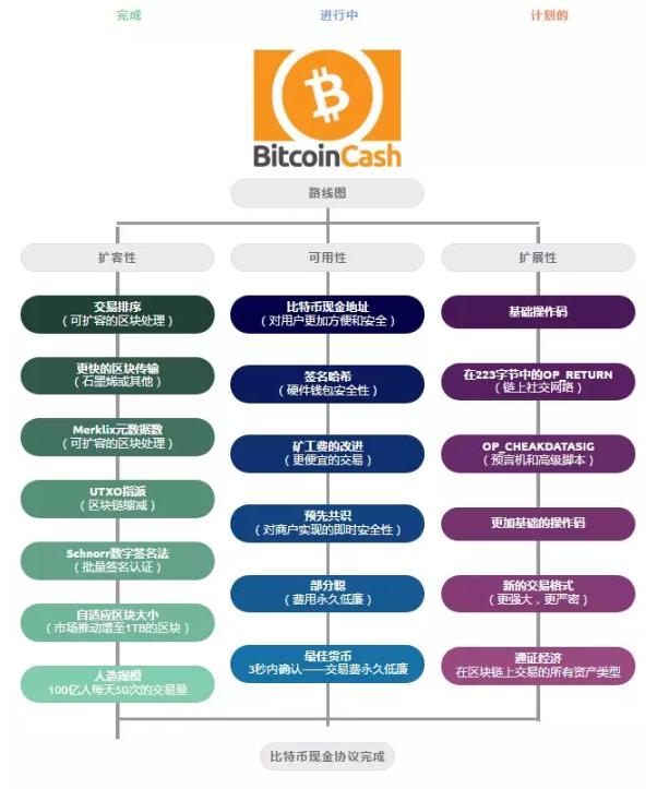 2019年过半，BCH成绩大盘点4