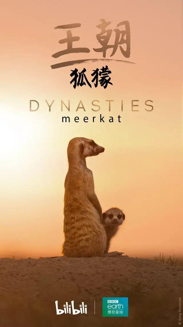豆瓣9.2，这新出顶级神片，猛男必看