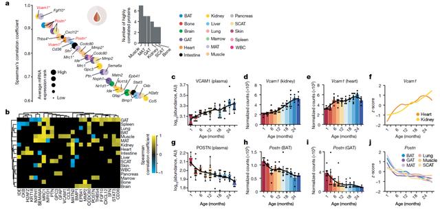 欧易生物,基因芯片,生物芯片,基因测序,高通量测序,二代测序,三代测序,酵母文库,生物信息学,转录组,基因组,蛋白质组,甲基化,代谢组学,蛋白检测单细胞测序,核体系酵母文库构建,基因组de novo测序,蛋白质组定量分析,靶向代谢组学, 2b-RAD简化基因组 ,微生物多样性测序