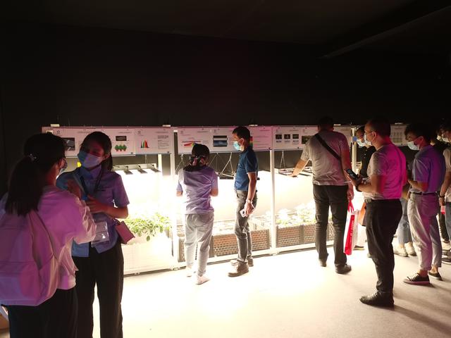 伟照业植物生长灯出现在广州光亚展，引行业瞩目插图