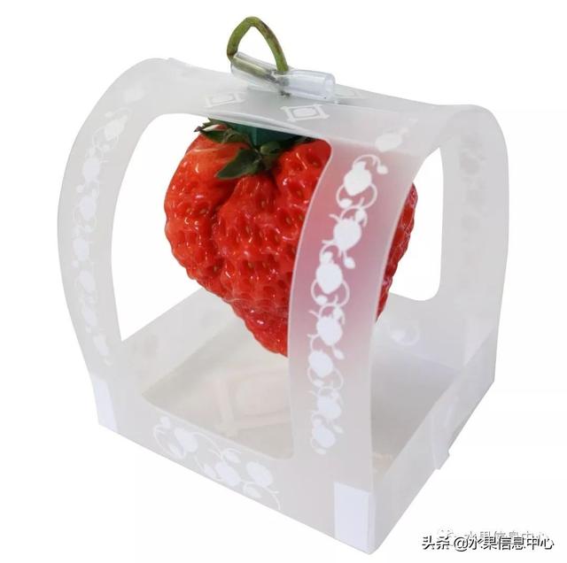 草莓包装大合集，这样的草莓吃不起(图27)