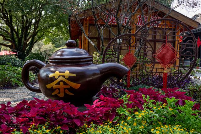 【无锡】百年梅园，无锡人对其有着深厚的情感，万株百合花丛中笑