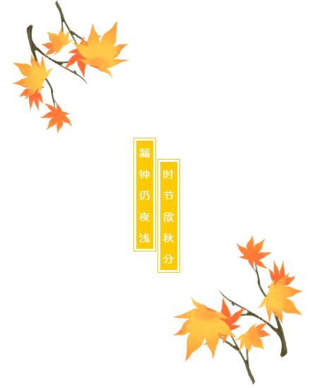 二十四节气·秋分——天府六小德育大课堂