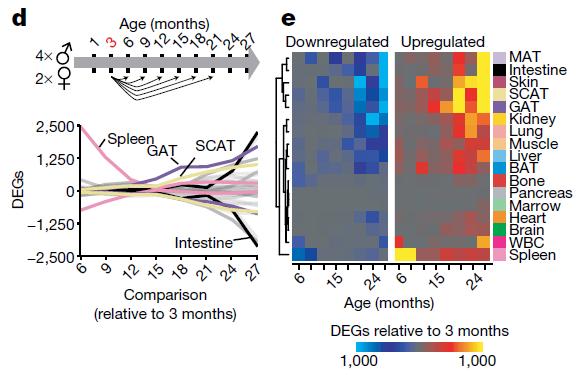 欧易生物,基因芯片,生物芯片,基因测序,高通量测序,二代测序,三代测序,酵母文库,生物信息学,转录组,基因组,蛋白质组,甲基化,代谢组学,蛋白检测单细胞测序,核体系酵母文库构建,基因组de novo测序,蛋白质组定量分析,靶向代谢组学, 2b-RAD简化基因组 ,微生物多样性测序