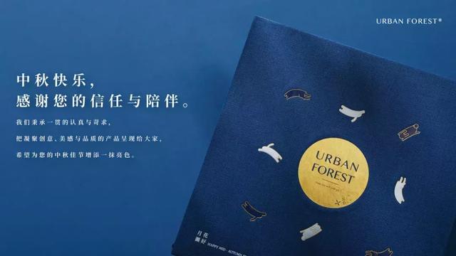 12+月饼礼盒的包装设计，颜值很高又赋有设计感(图34)
