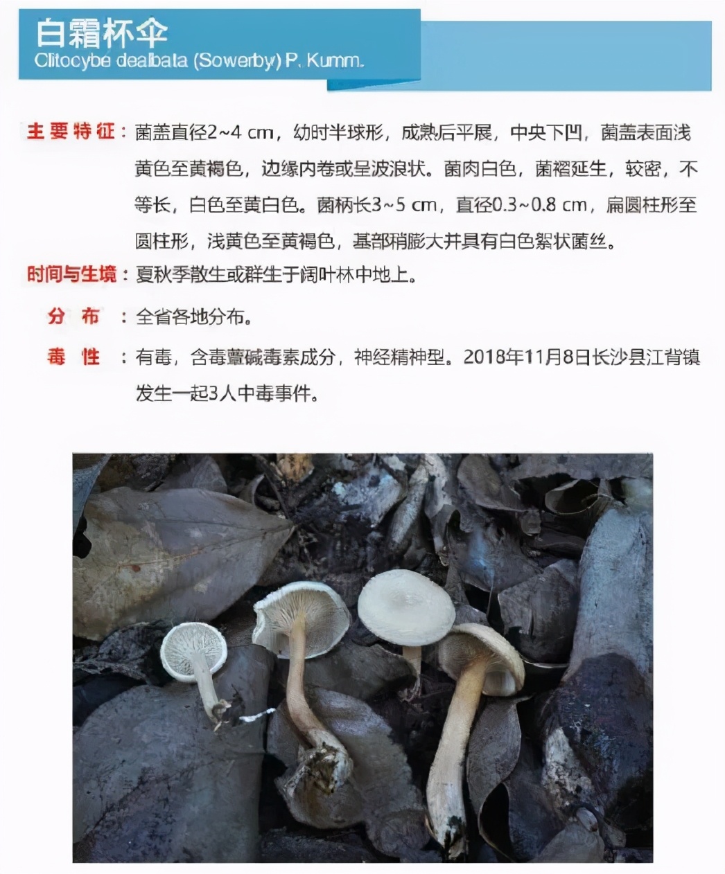 又到暴发季！湘潭人警惕，这东西碰不得（附有奖答题）