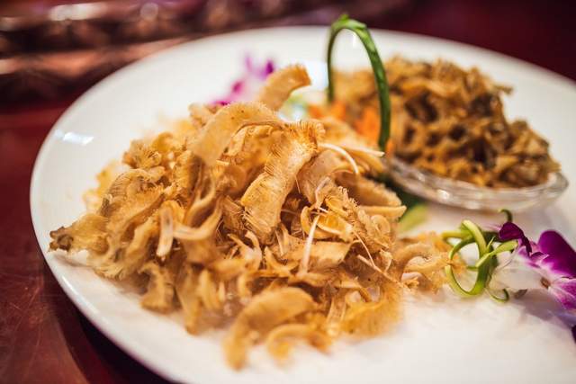 冬游杜尔伯特，一场冰火两重天的狂欢