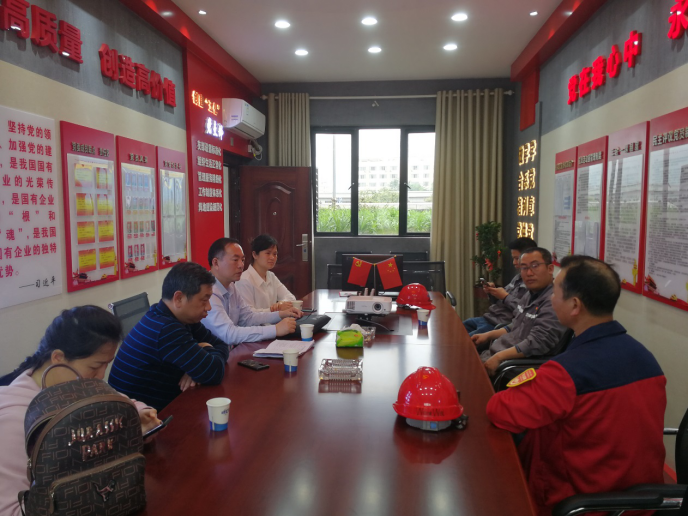 湘潭市生态环境局对省环保督察“回头看”经开区涉气企业进行全面检查
