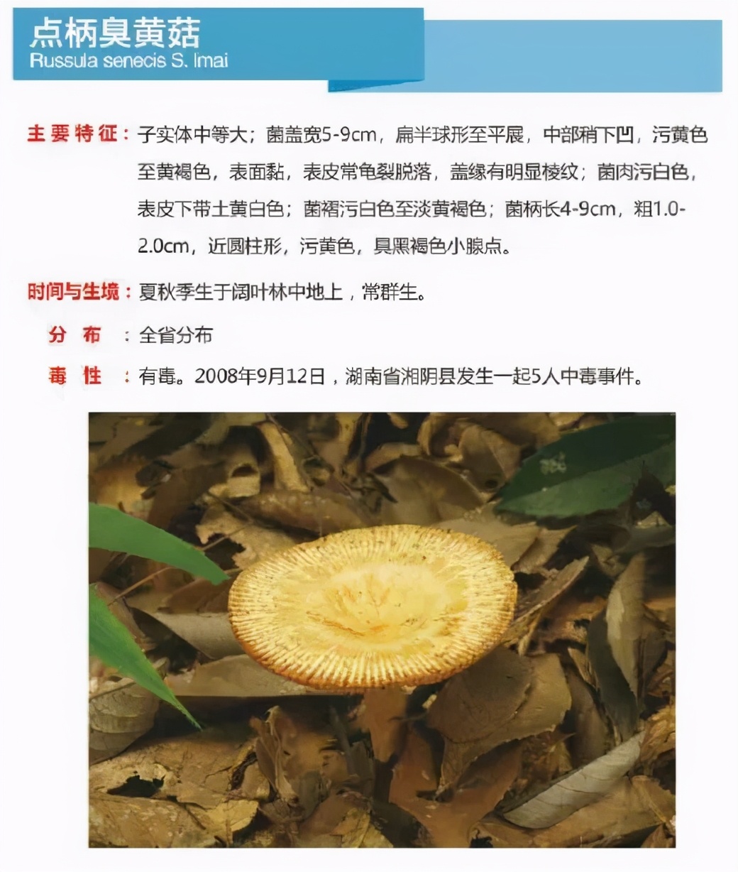 又到暴发季！湘潭人警惕，这东西碰不得（附有奖答题）