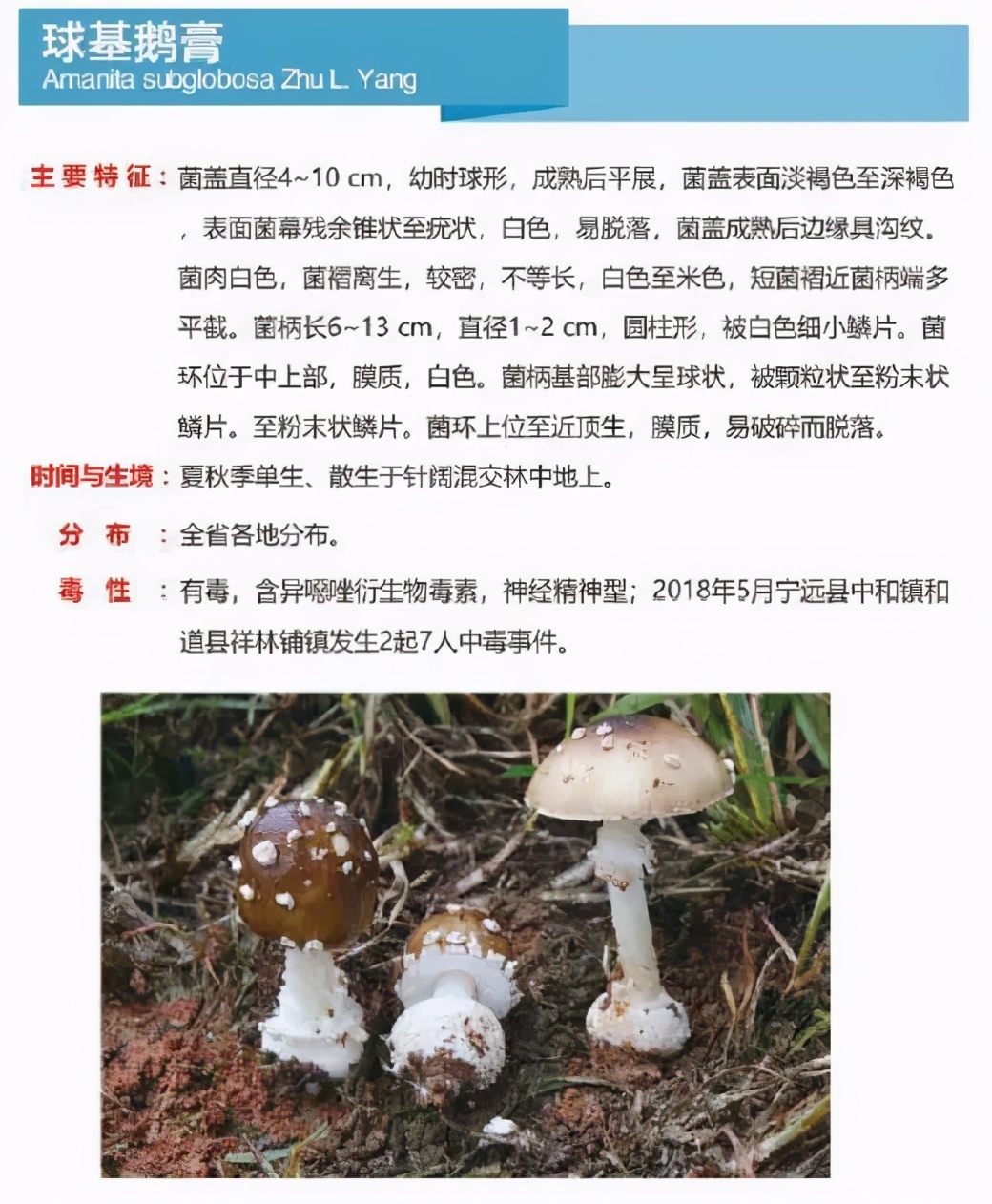 又到暴发季！湘潭人警惕，这东西碰不得（附有奖答题）