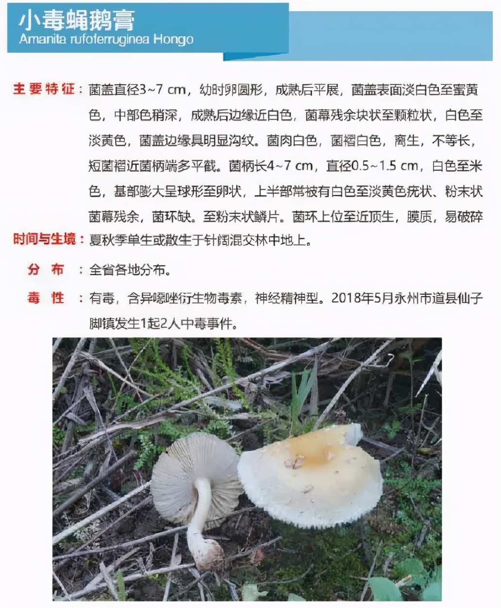 又到暴发季！湘潭人警惕，这东西碰不得（附有奖答题）