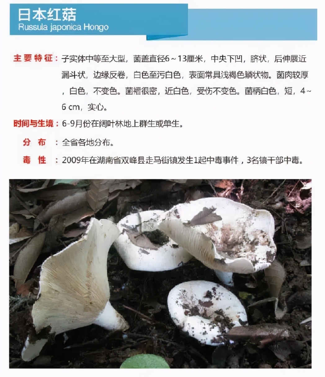 又到暴发季！湘潭人警惕，这东西碰不得（附有奖答题）