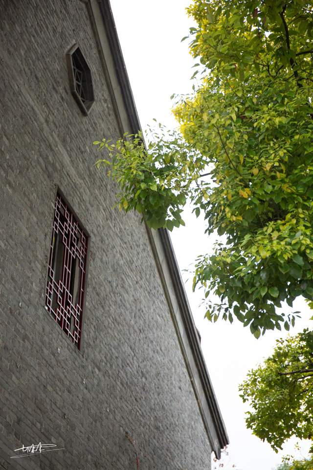 短短600米的泰州老街，装着这座城市的旧时光和老故事