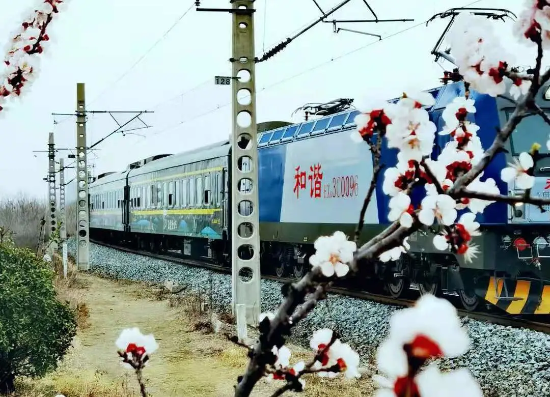 7053公益慢火车开启“春之声”诗歌之旅！（图11）
