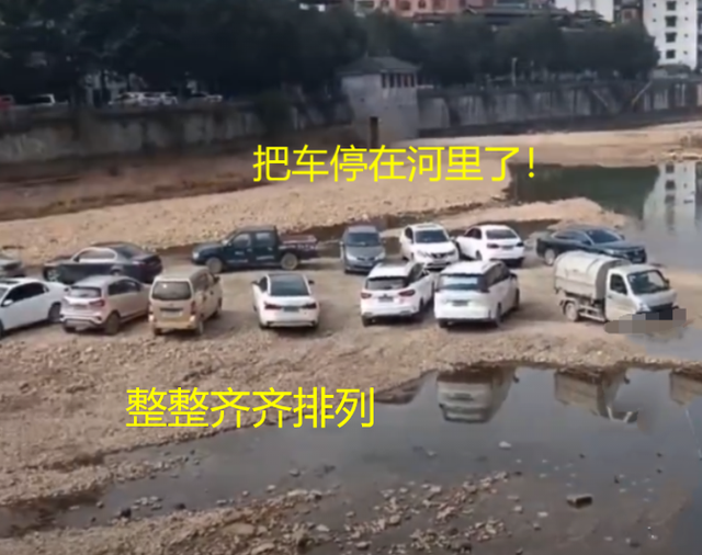 司机|为躲交警贴罚单司机把车停河滩 整整齐齐排几排