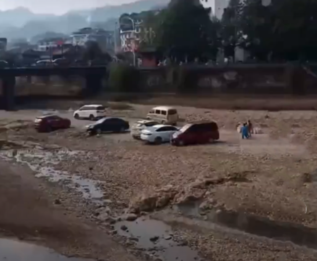 司机|为躲交警贴罚单司机把车停河滩 整整齐齐排几排