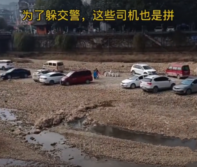 司机|为躲交警贴罚单司机把车停河滩 整整齐齐排几排