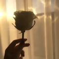 小杨说观点