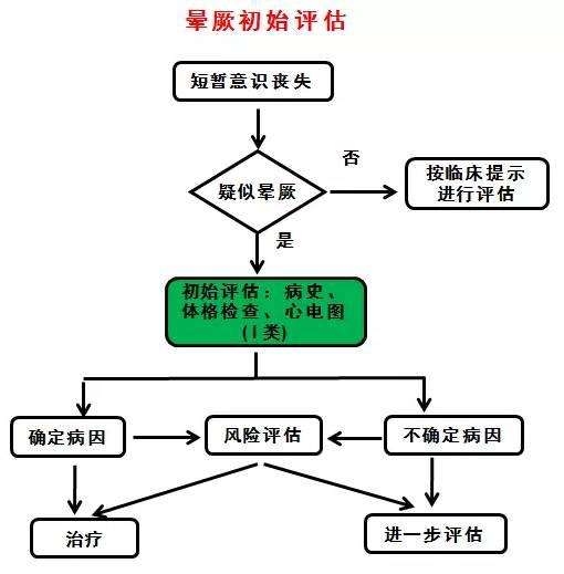 「occ 2017」刘文玲:心源性晕厥诊治中心电图的"红色预警"_健康症状网