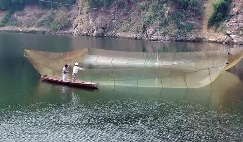 捕捞卖鱼:拉网与抬网的比较_钓鱼捕鱼_西南渔业网 水花鱼 水产养殖