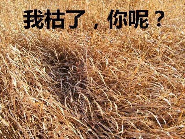 曾凭一首歌爆红的实力唱将，如今却沦落到卖房子为生...