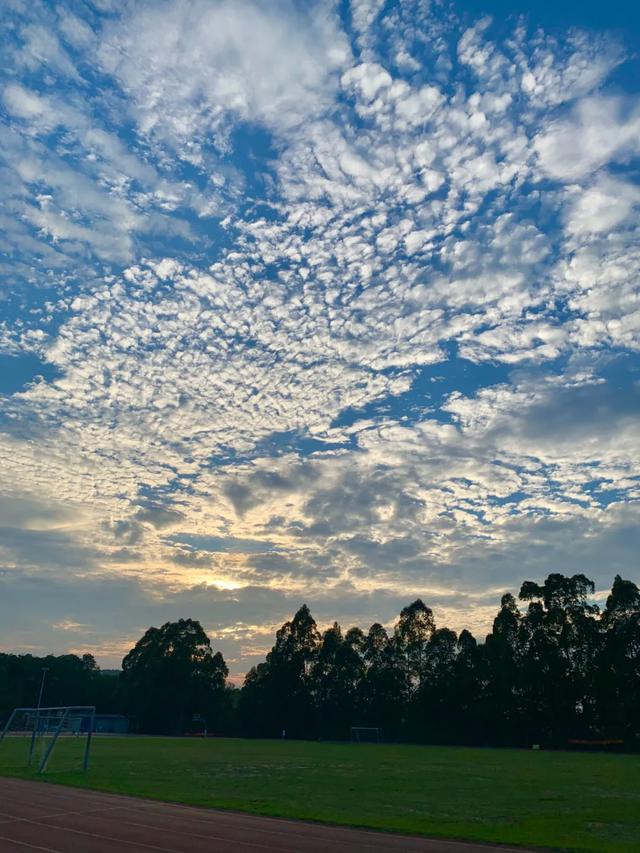 21载风雨兼程，涉外集团谋划“大教育+大健康”谱新篇