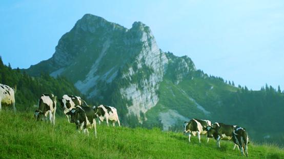 明一奶粉怎么样？精心打造每个制作环节，值得PICK！