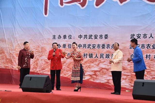 庆丰收迎小康今天武安的淑村镇白沙村超热闹