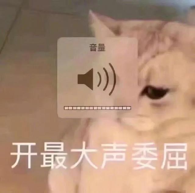 一不小心成了饭圈最强毒奶，难道我真的不配追星？
