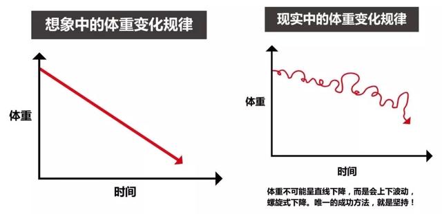 减肥|吃的越来越少，身材却持续变胖，究竟哪里出了问题？