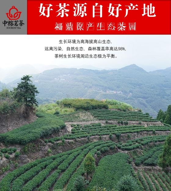 中榕茗茶携手非遗传承人推出值得收藏的老白茶