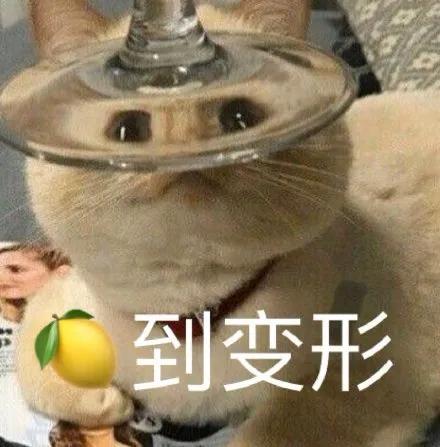 女主播当街栓链子学狗爬，看完我想给她刷个大火箭...