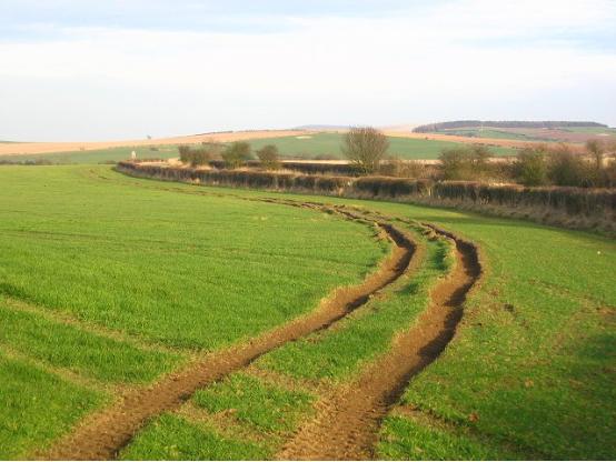 解锁DeFi的另一面：“数据”乐高的万亿级市场 I Damo 项目3