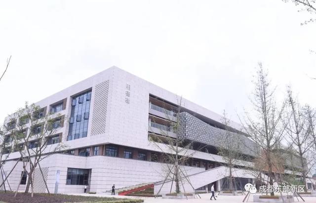 教育配套全面升级，东部新区开建多所学校
