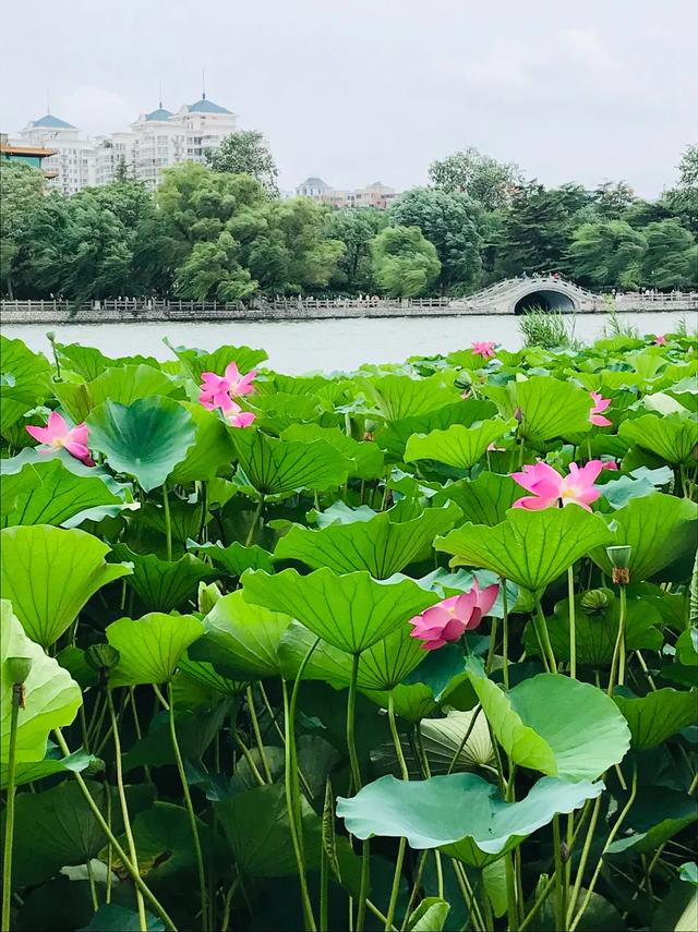 60张夏天的照片有时间一起旅行吧