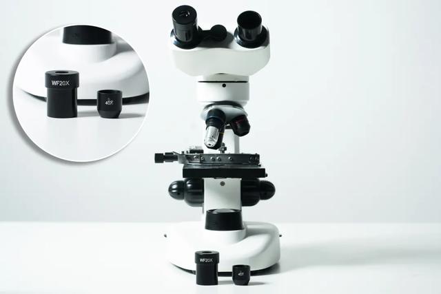 这款显微镜和手机一连就能放大,安卓,苹果系统都通用